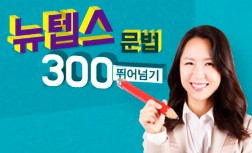 [다락원] New TEPS(뉴텝스) 300 뛰어넘기 - 문법