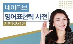 [다락원] 네이티브 영어표현력 사전 - 기본 동사